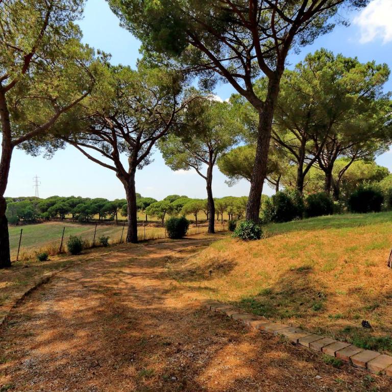 L'Oasi di Baal - Villa con Piscina Privata - 52