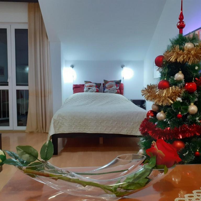 Sky Apartman - Apartman sa 1 Spavaćom Sobom - 18