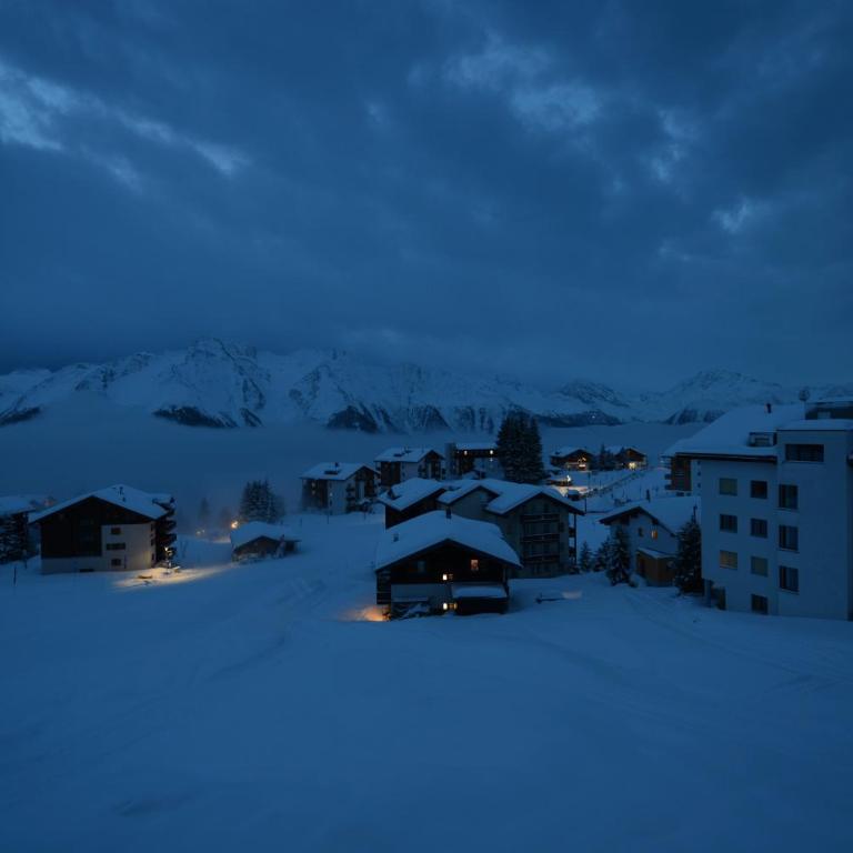 Apartment Alouette Riederalp - Apartment mit 1 Schlafzimmer - 39