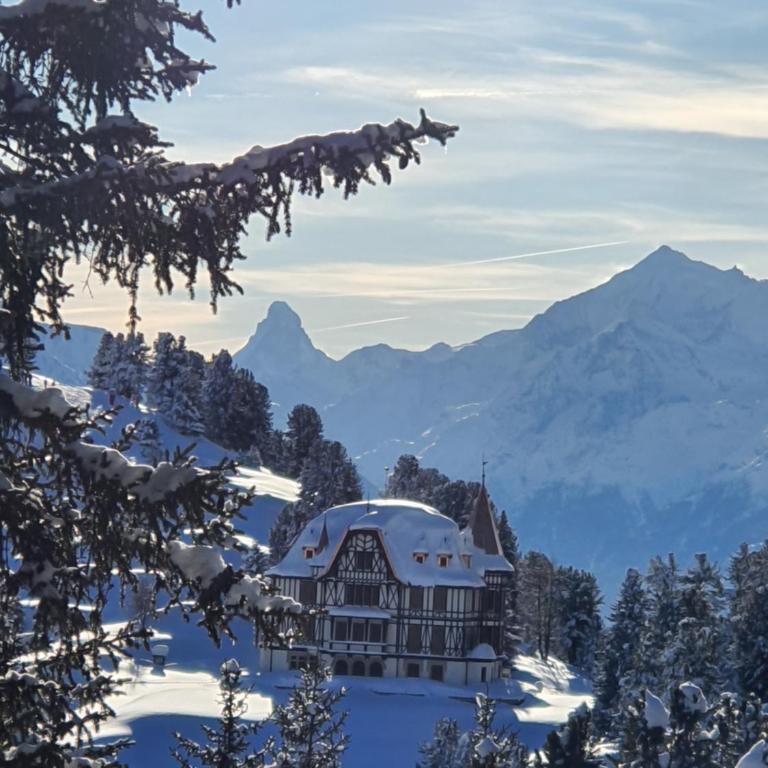 Apartment Alouette Riederalp - Apartment mit 1 Schlafzimmer - 41