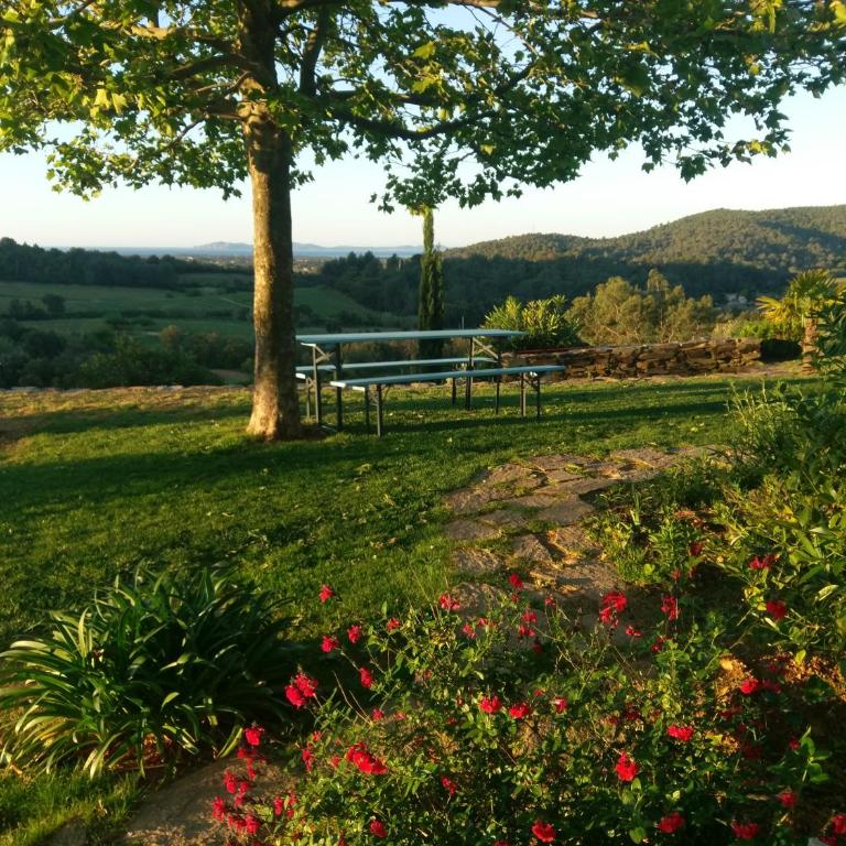 House With Garden And Sea View - Ferienhaus - 39