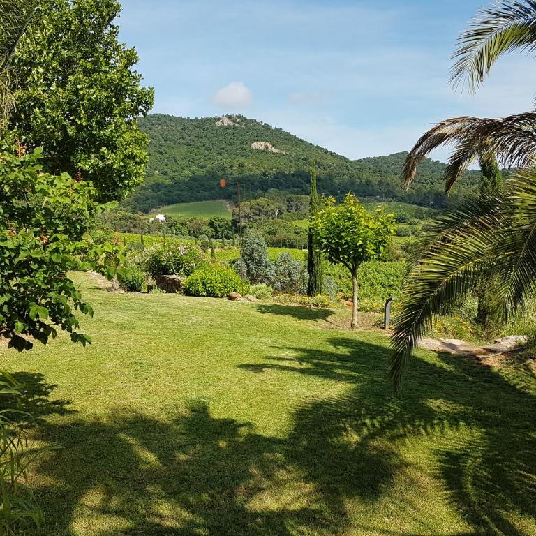 House With Garden And Sea View - Ferienhaus - 45