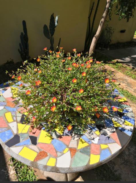 Duplex a pasitos del centro contactar número primer foto - Casa de 2 dormitorios - 4