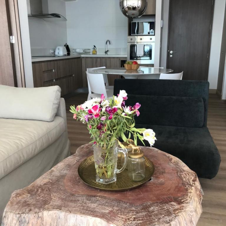 Departamento Terrazas de Cochoa 2 dormitorios - Apartamento de 2 dormitorios - 21