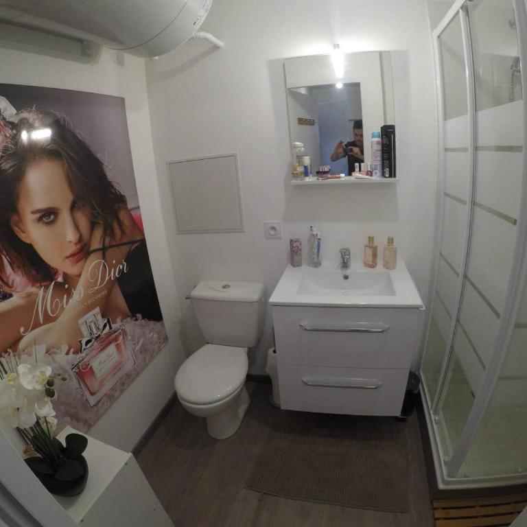 le cocon voironnais - Appartement 1 Chambre - 12