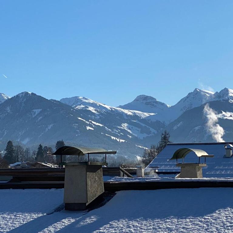 Haus Ingrid - Apartment with Mountain View Ground Floor - 16