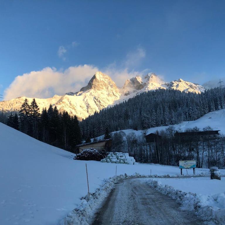 Appartement zur schlafenden Jungfrau - Appartement Deluxe - 41