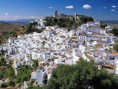 CASARES appart 2 ch dans parc tropical avec vue sur mer, montagne et piscine - Apartamento - 25