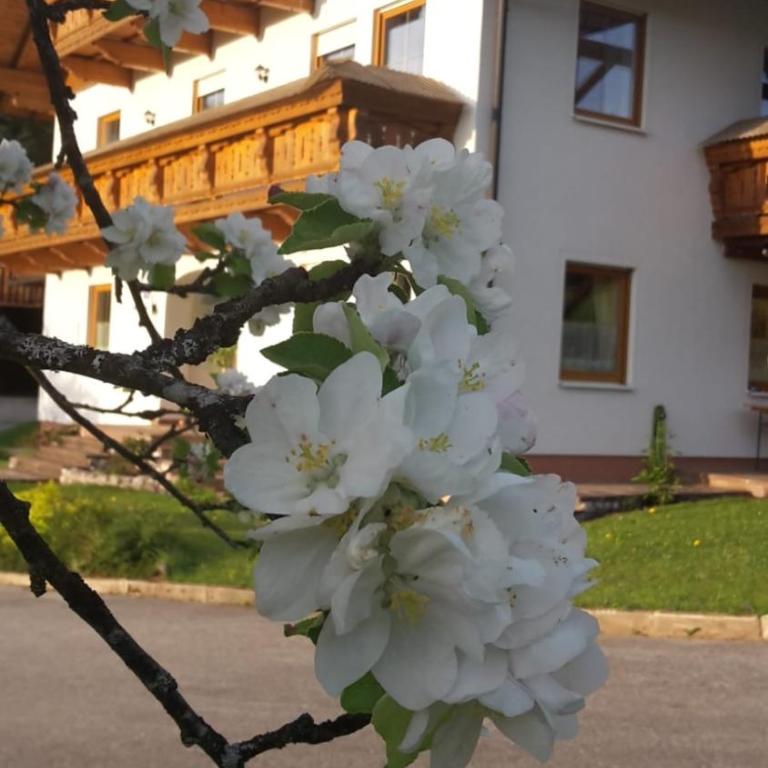 Lederhof - Apartment mit 1 Schlafzimmer - 21
