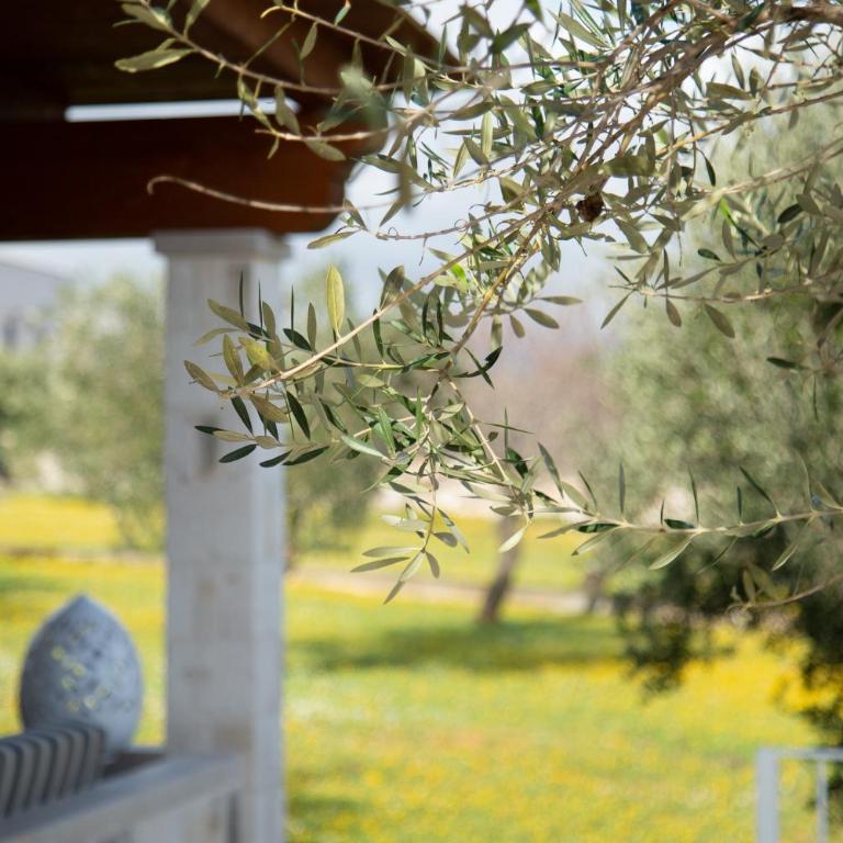 Trullo dei maestri - Villa con 1 Camera da Letto - 7