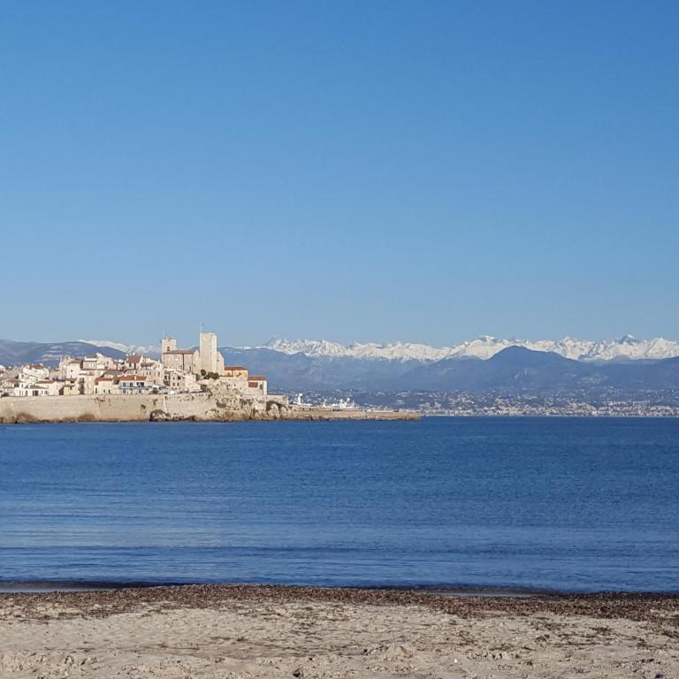 Magnifique "Gite de la Garoupe" au Cap d'Antibes à 300m des plages - Maison 1 Chambre - 49