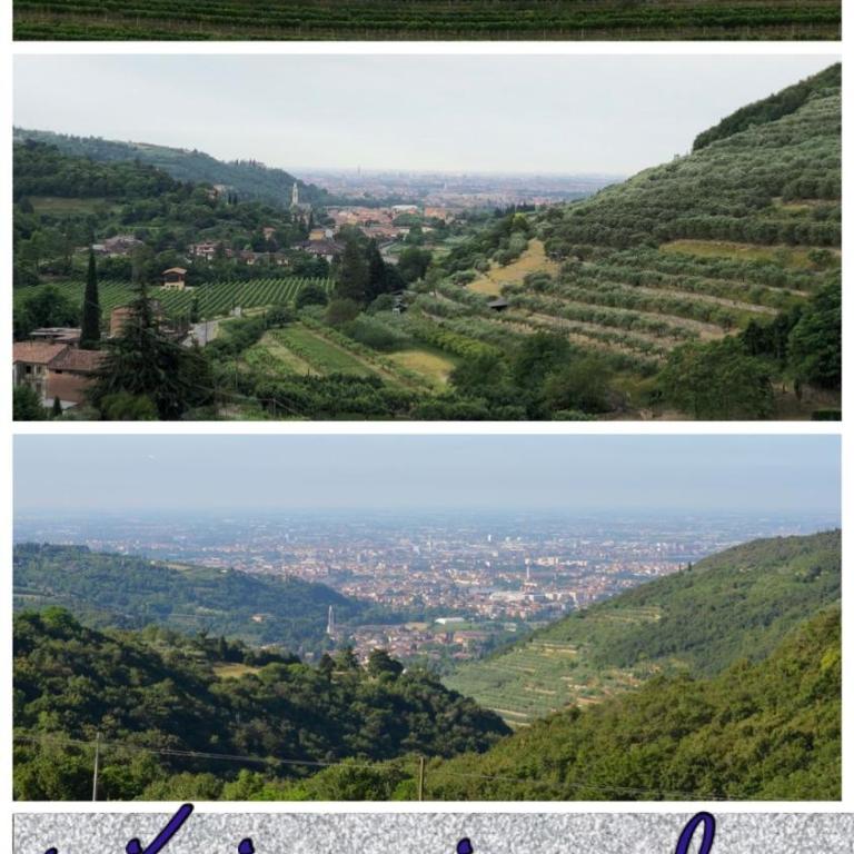 Dimora Le Colline - One-Bedroom Apartment - 26