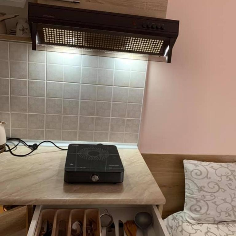 Apartmani Mićić - Apartman sa Balkonom - 34