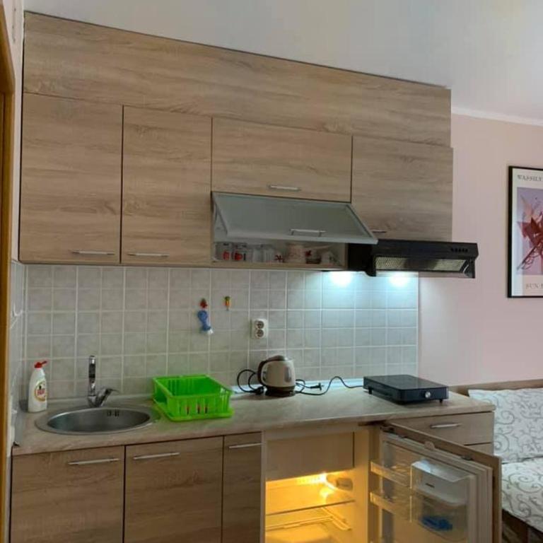 Apartmani Mićić - Apartman sa Balkonom - 35