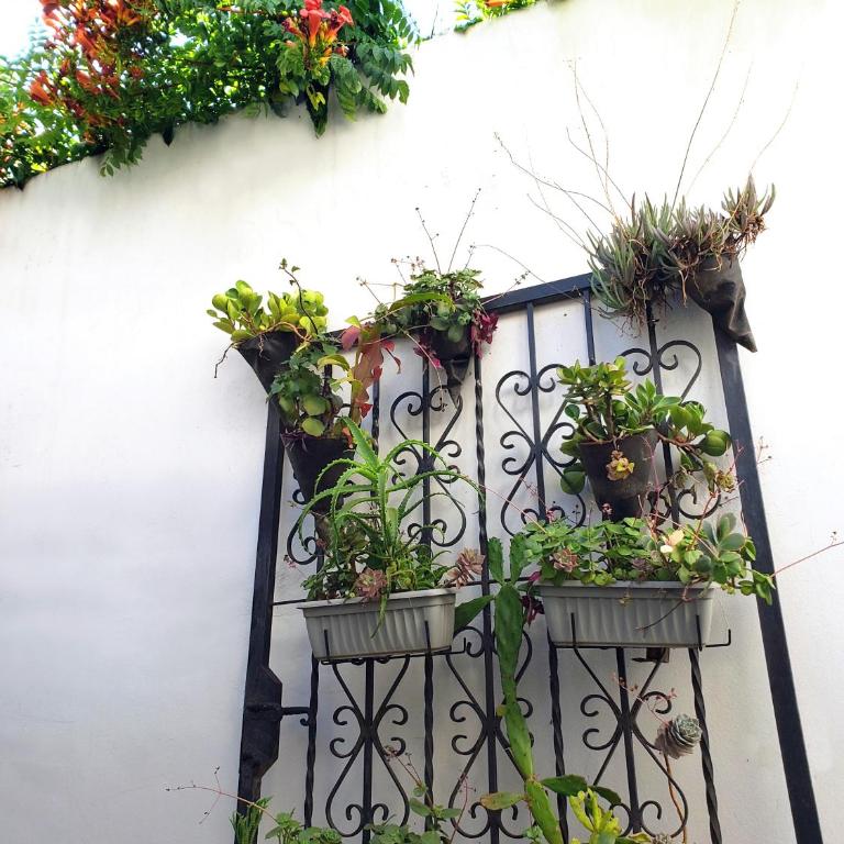 Dos Patios - Luz, tranquilidad y verde - Apartamento con vistas al jardín - 30