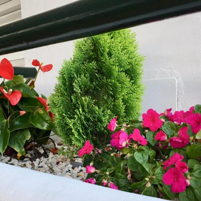 MI CAPRICHO A17 Beachfront Apartment - Apartamento de 2 dormitorios - 14