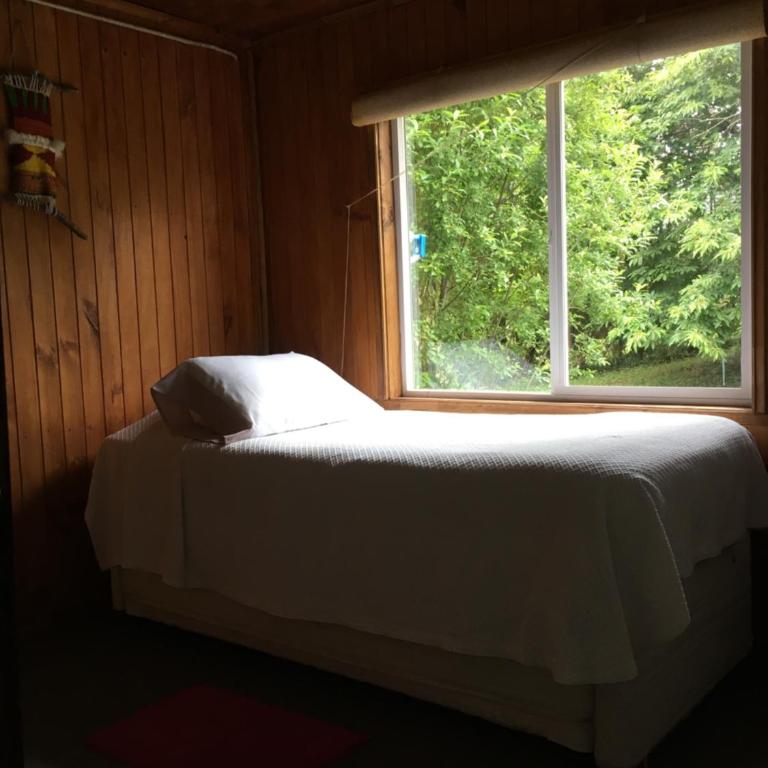 Bosque Patagonico Cabañas y Camping - Casa de 3 dormitorios - 18