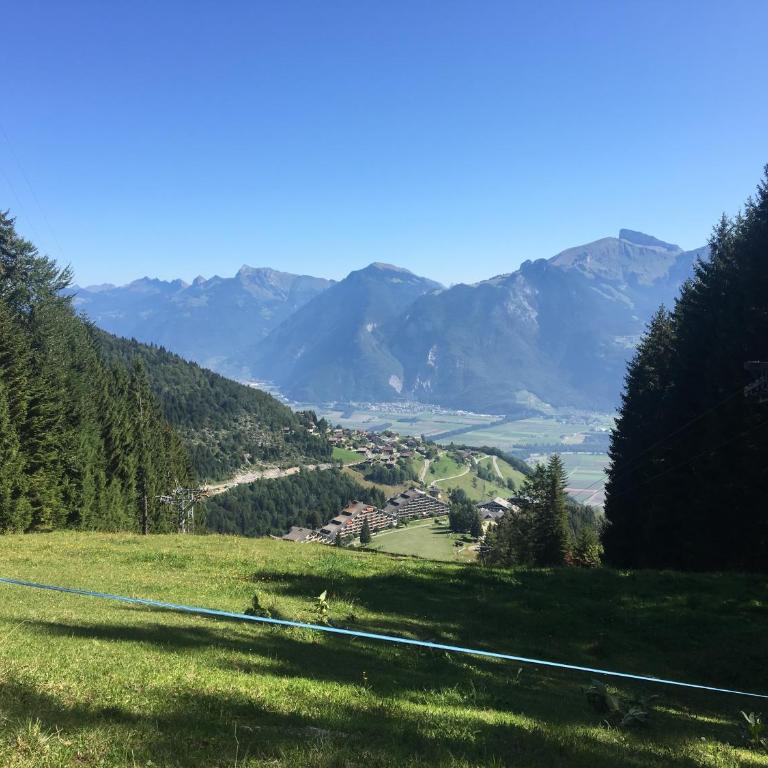 Alpine apartment in Swiss village of Torgon - Apartment mit 1 Schlafzimmer - 31