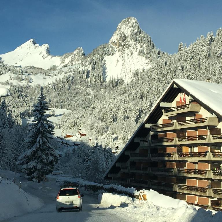 Alpine apartment in Swiss village of Torgon - Apartment mit 1 Schlafzimmer - 17