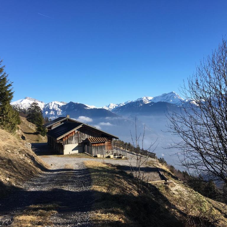 Alpine apartment in Swiss village of Torgon - Apartment mit 1 Schlafzimmer - 32