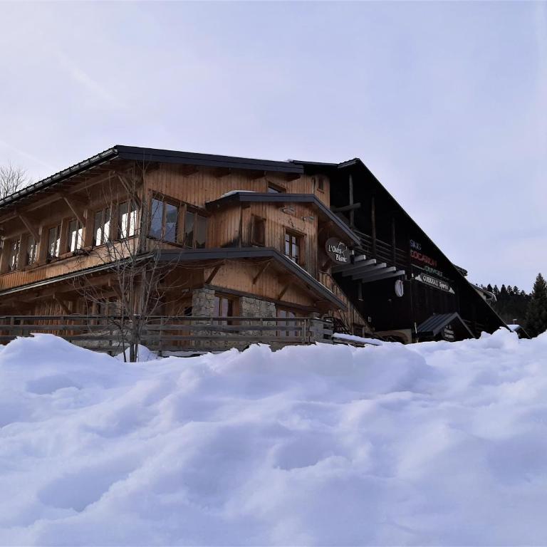L'Ours Blanc - Chalet - 15