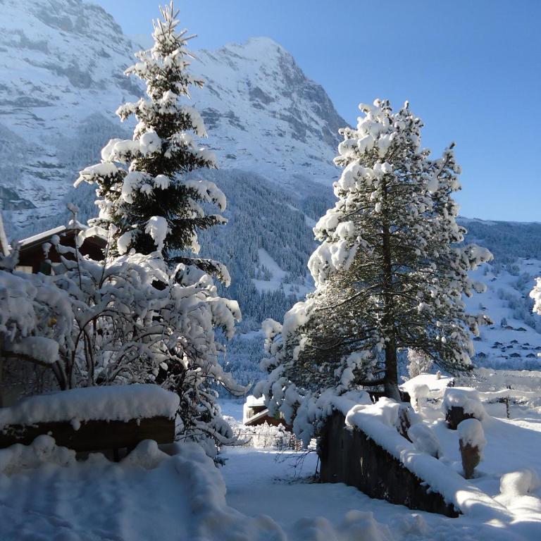 Hotel Tschuggen - Doppelzimmer mit Balkon und Blick auf den Eiger - 14