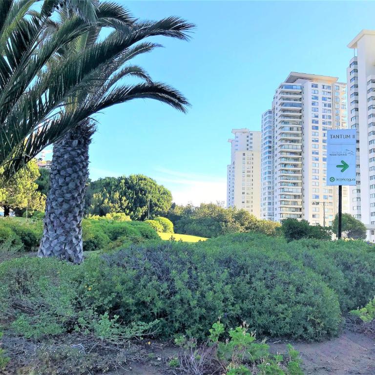 Concón Costa de Montemar Departamento, 3 dormitorios - Apartamento con balcón - 38