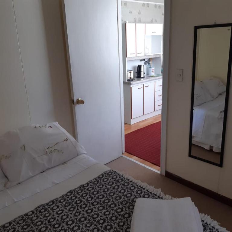 Cabañas y Habitaciones privadas Valdivia - Classic Apartment - 8