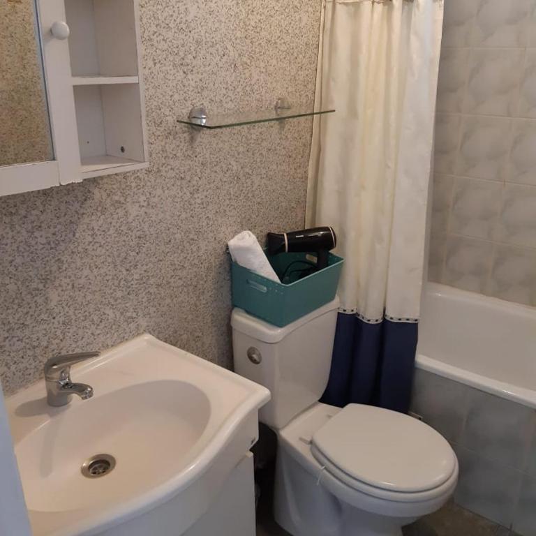 Cabañas y Habitaciones privadas Valdivia - Classic Apartment - 6