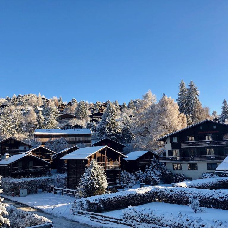 Chalet Alpin Victoria - Superior Chalet - 36