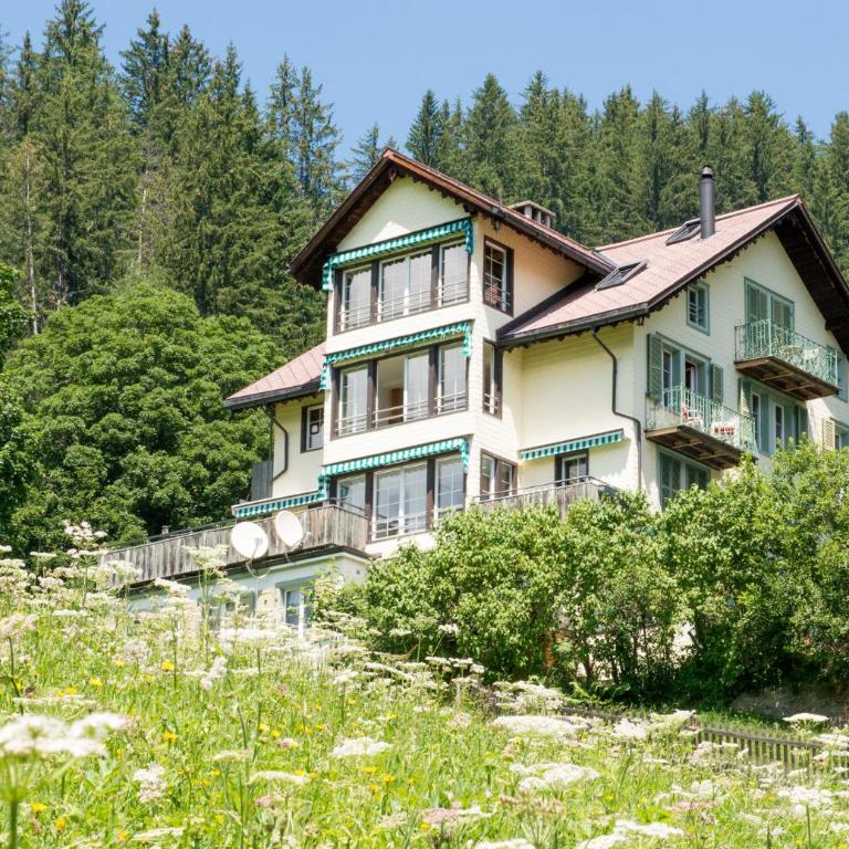 Chalet Hunnenfluh - Apartment - 12