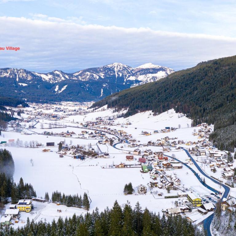Dachstein Mountainview Gosau - Appartamento - 17