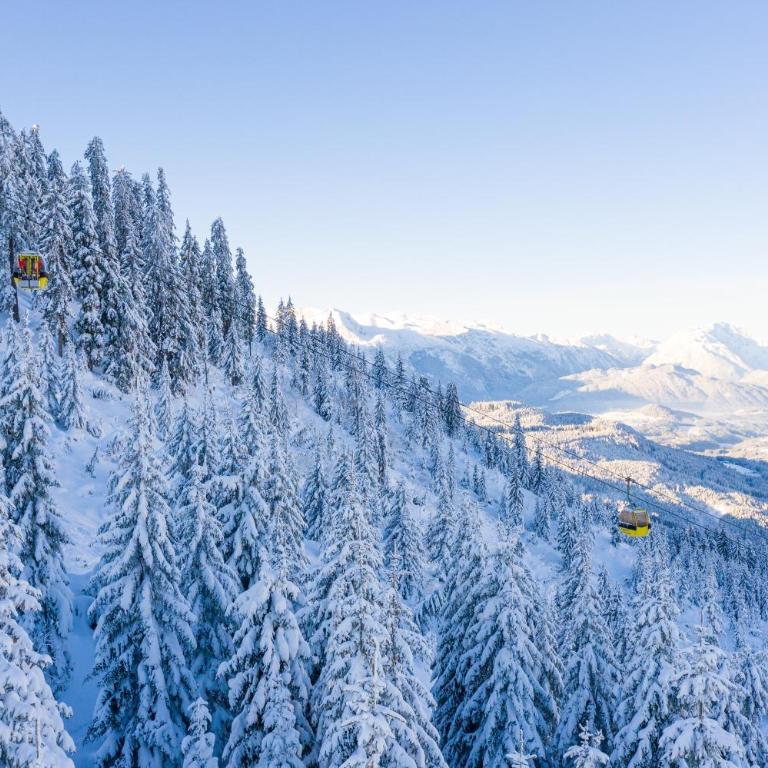 Dachstein Mountainview Gosau - Appartamento - 21