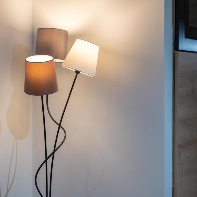 Apartman Žičara Zlatibor - Apartman sa 1 Spavaćom Sobom - 23