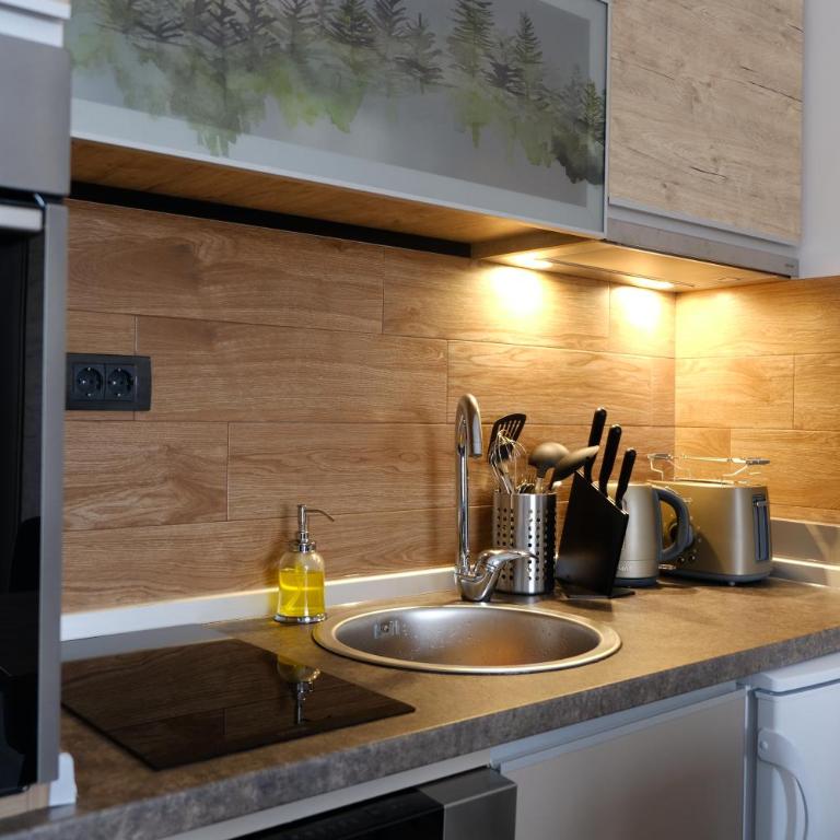 Ski & Spa Apartment S20 Milmari Resort Kopaonik - Studio sa Pogledom na Planinu - 25