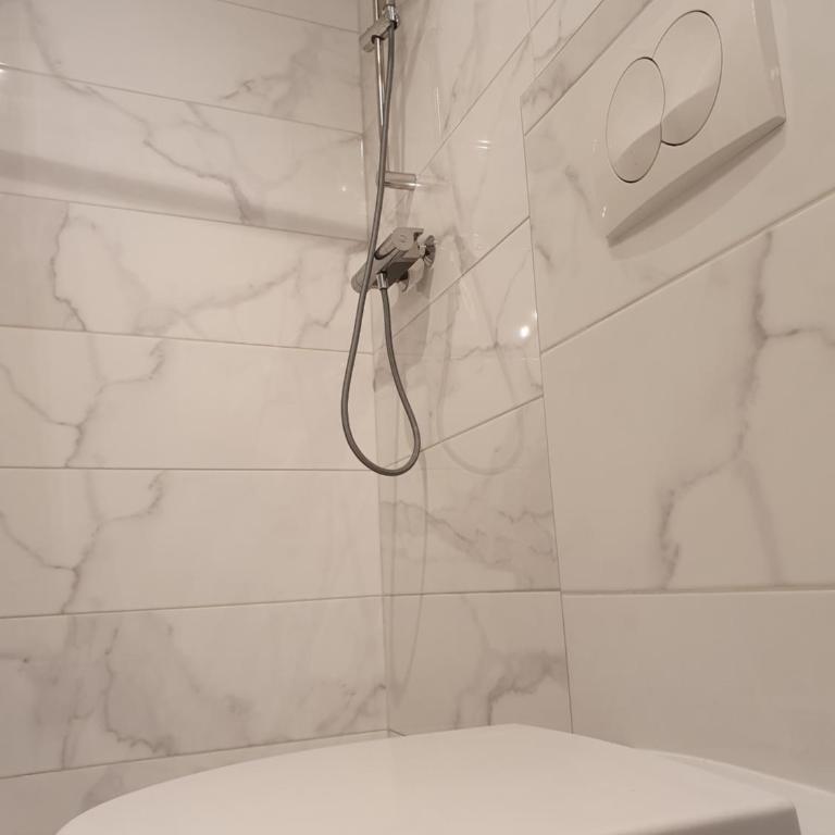 Mosaic - Standardni Studio - 11