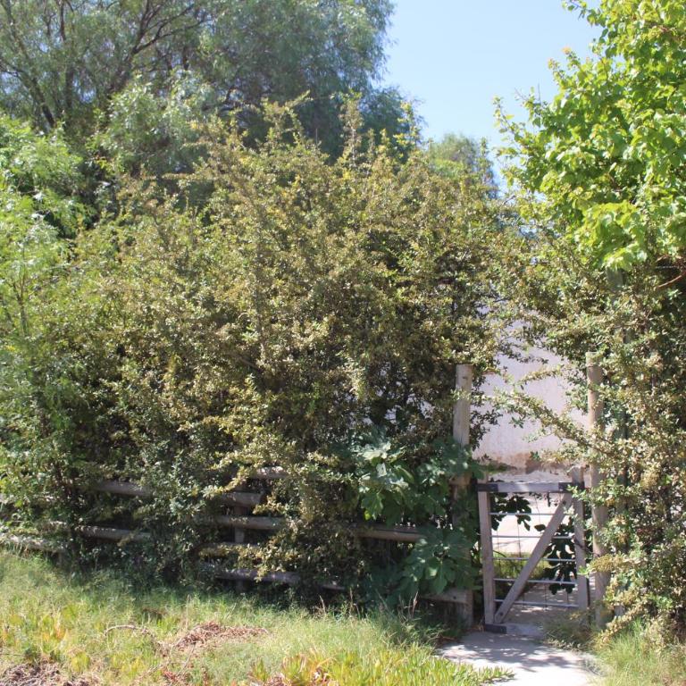 Cabaña en Olivar Centenario Agroecológico Tutuna - Casa de 2 dormitorios - 63
