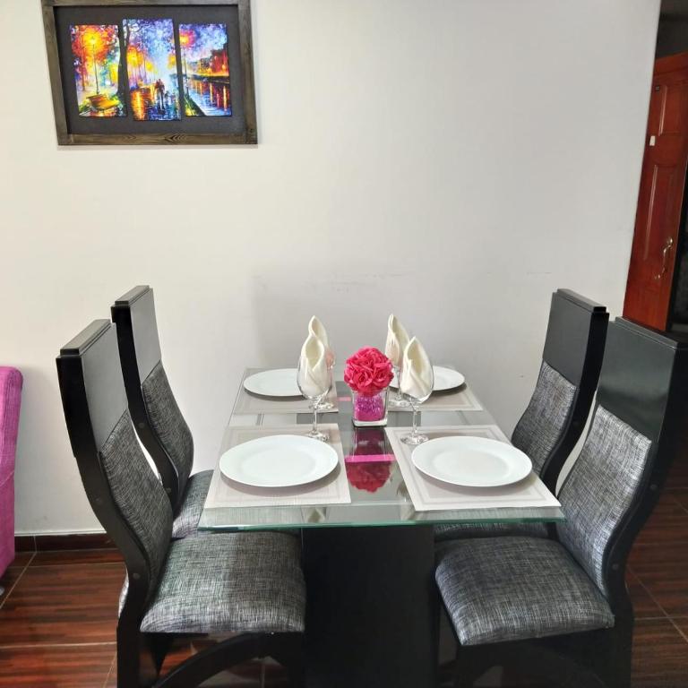 Apartamento amoblado a excelente precio - Apartamento Estándar - 12