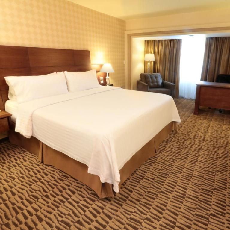 Holiday Inn Monterrey Norte by IHG - Habitación Premium con cama extragrande - 1