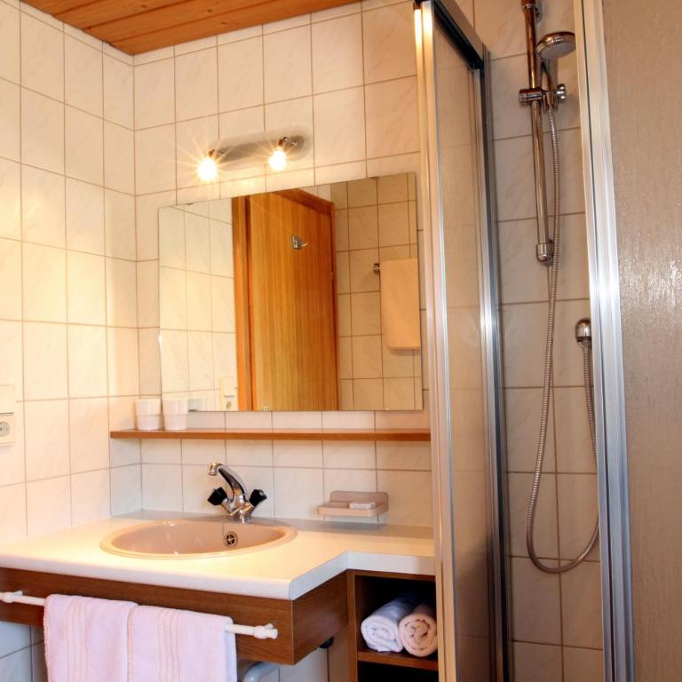 Haus Kneissl - Comfort Apartment mit 1 Schlafzimmer und Balkon - 1