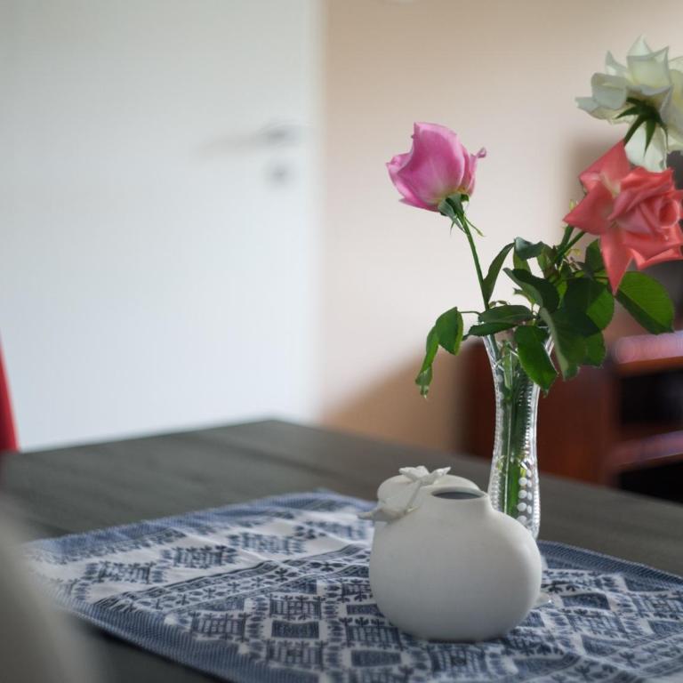 Apartment Maric - Apartman sa 2 Spavaće Sobe - 42