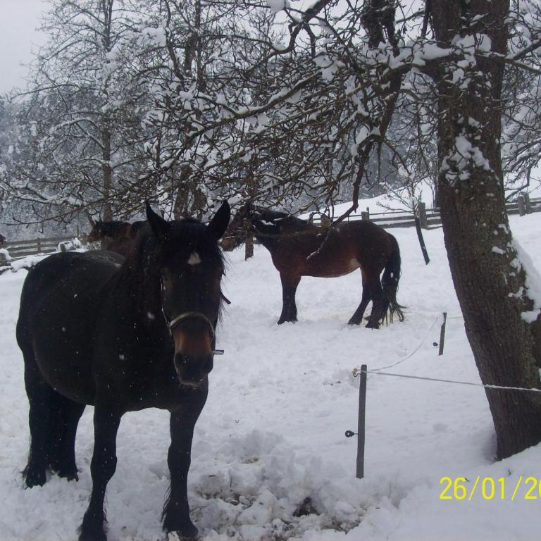 Appartements Oberhof - Apartment mit 2 Schlafzimmern und Balkon - Nebengebäude - 20