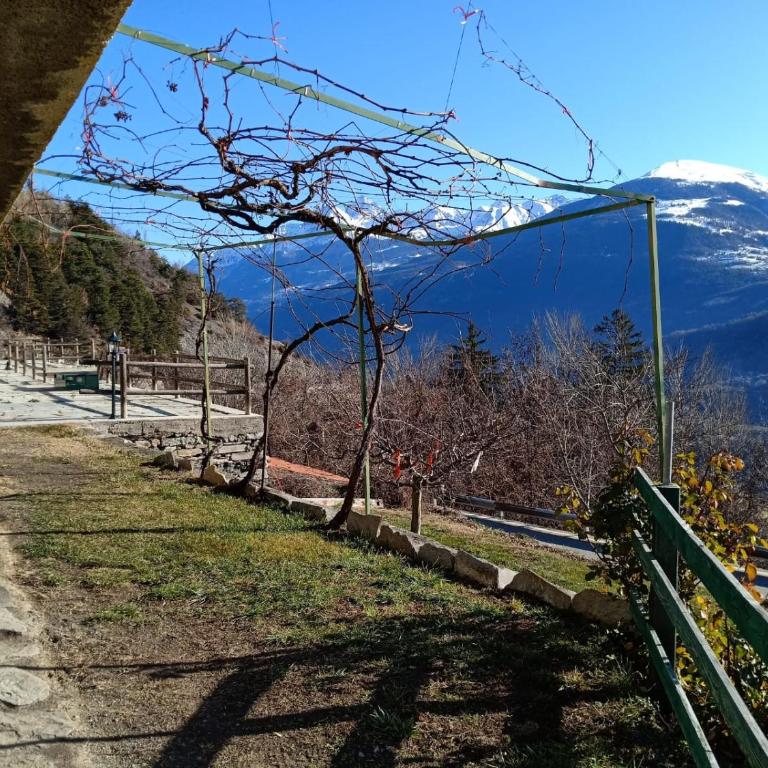 Appartamento con vista pazzesca sul Gran Paradiso - Appartamento con 1 Camera da Letto - 7