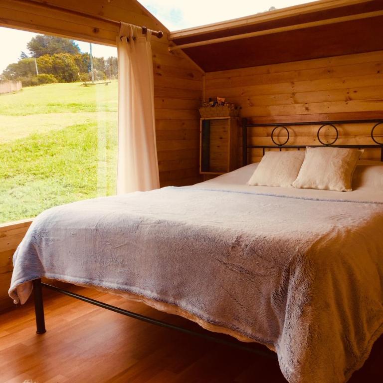 HOBU MONTAÑA - Bungalow Deluxe - 2