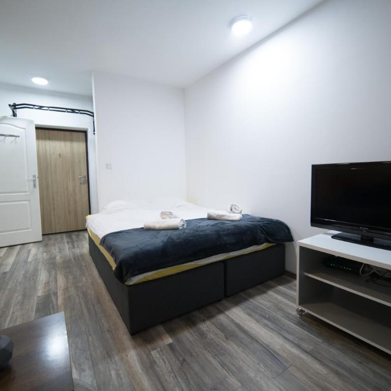 SARAJEVO CENTER STUDIO - One-Bedroom Apartment - 9