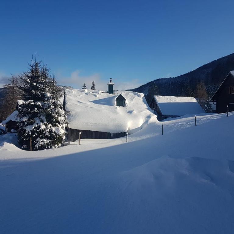Seebergalmhütte - Apartment mit 1 Schlafzimmer - 26