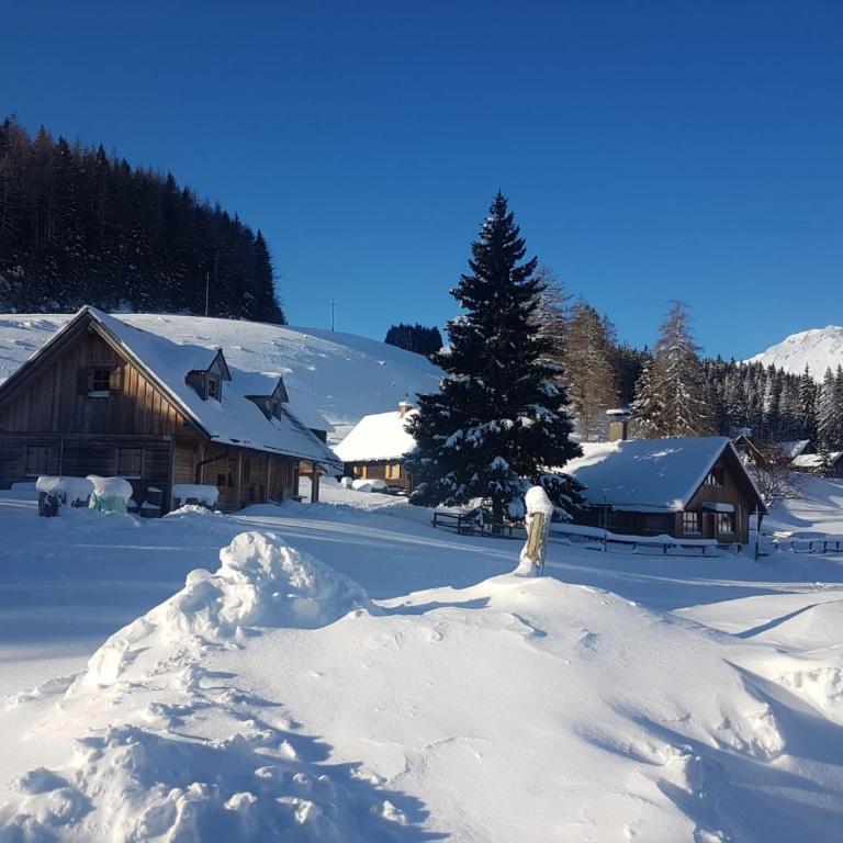 Seebergalmhütte - Apartment mit 1 Schlafzimmer - 29
