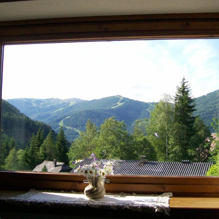 Appartement Latschen - Ferienhaus - Ferienhaus - 26