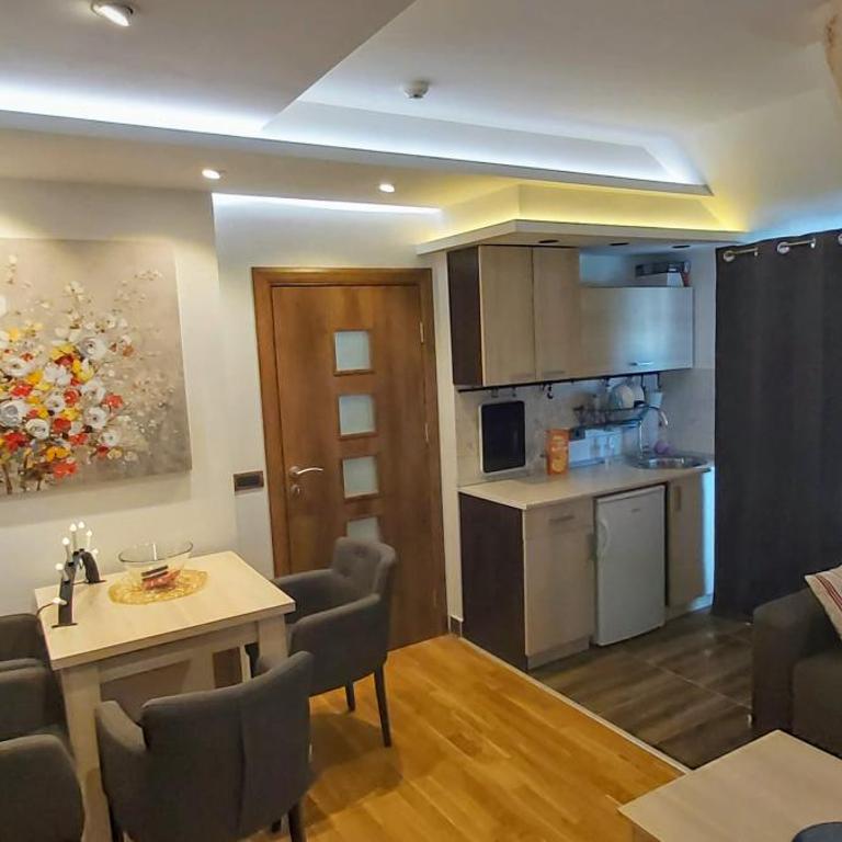 RooftopTerrace 360° - Dvori C13 KOPAONIK - One-Bedroom Apartment - 29