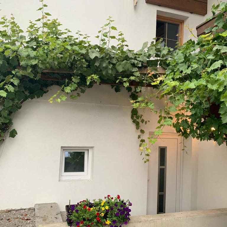 's Gasthäusl - Apartment mit 2 Schlafzimmern und Badezimmer - 3